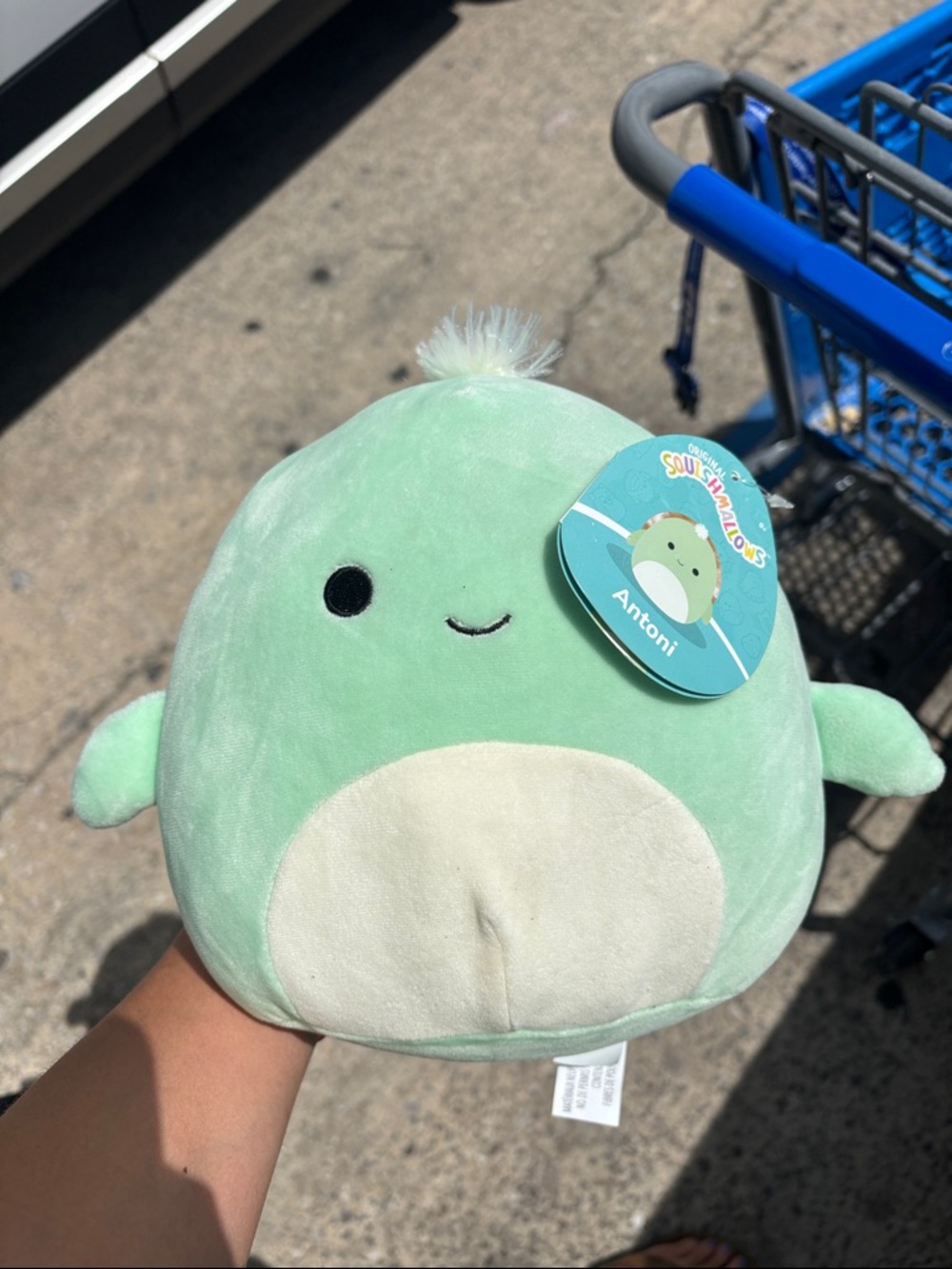 Squishmallows Antoni Plush - Mint Green Turtle with Cream Belly